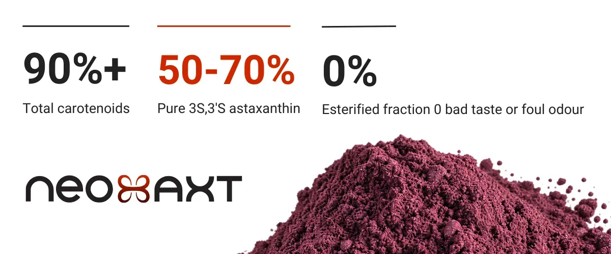 NeoAXT Features.webp